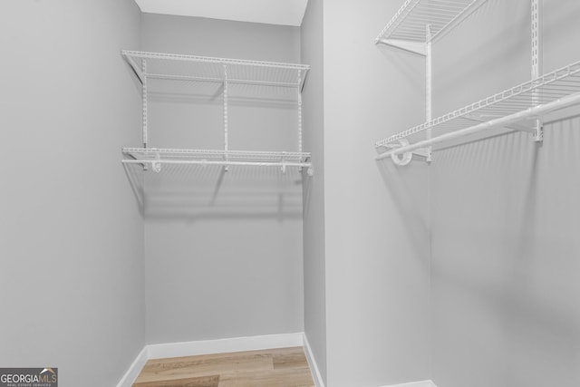 spacious closet featuring wood finished floors