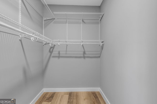 walk in closet with wood finished floors