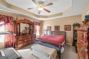 bedroom featuring baseboards and a raised ceiling