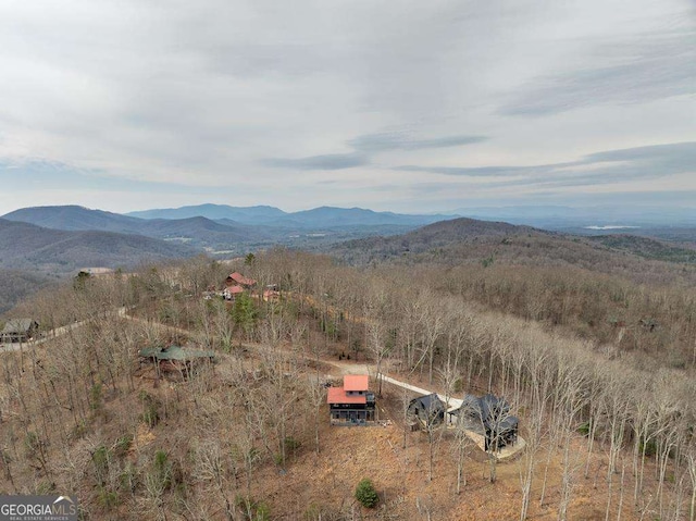 property view of mountains