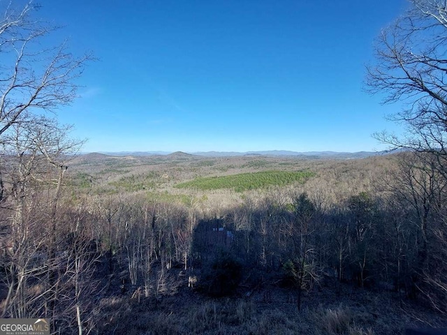 view of mountain feature