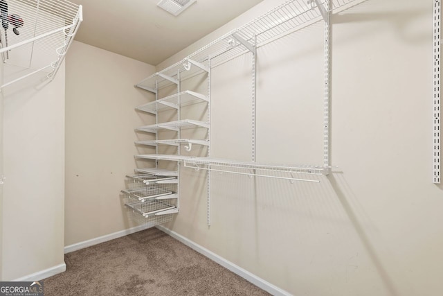 spacious closet with carpet floors and visible vents