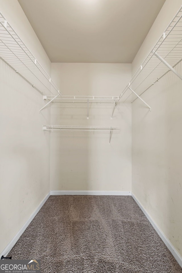 walk in closet with carpet floors