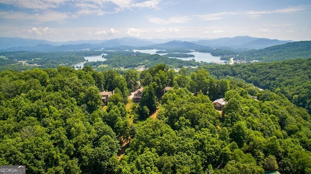 drone / aerial view with a forest view and a mountain view