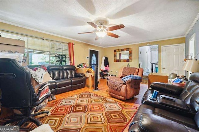 living area featuring ceiling fan, crown molding, a textured ceiling, and wood finished floors