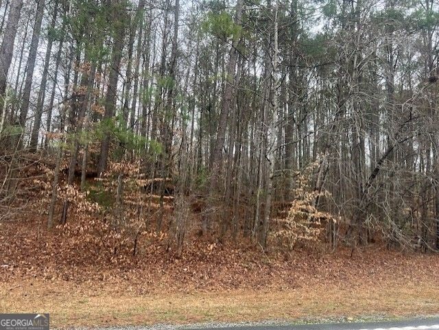 0 Cascade Palmetto Hwy, South Fulton, GA 30213
