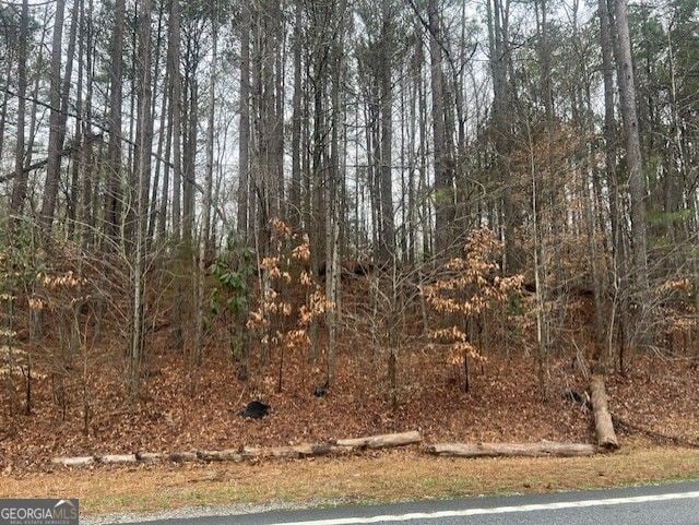 0 Cascade Palmetto Hwy, South Fulton, GA 30213