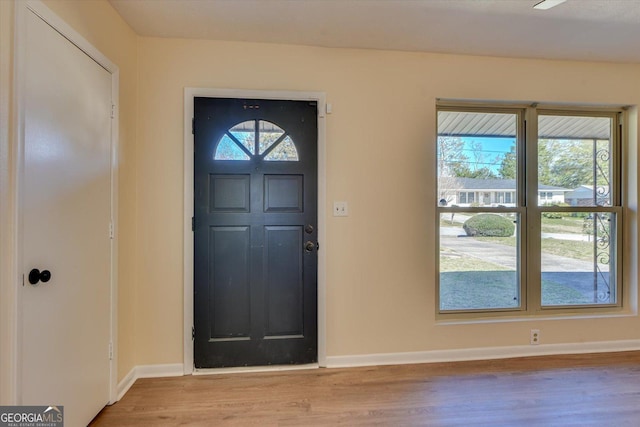 foyer with wood finished floors, a wealth of natural light, and baseboards