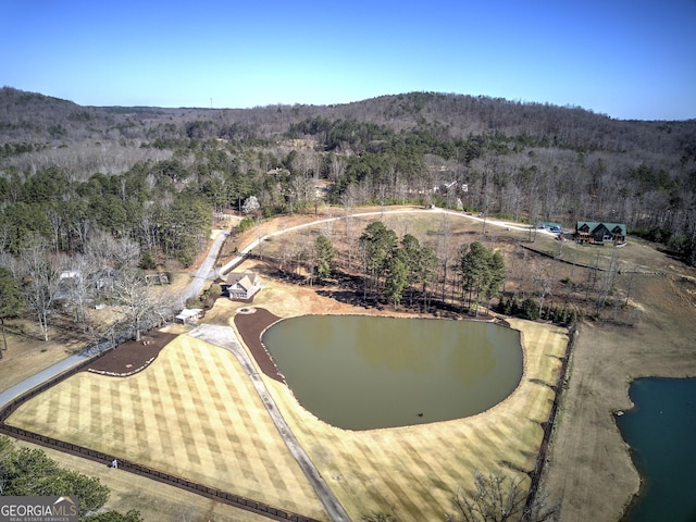 bird's eye view with a water view and a wooded view