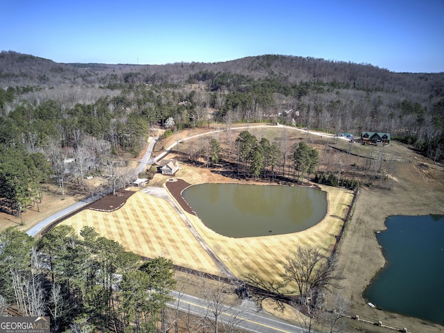 bird's eye view featuring a view of trees and a water view