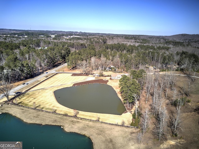 drone / aerial view featuring a view of trees and a water view