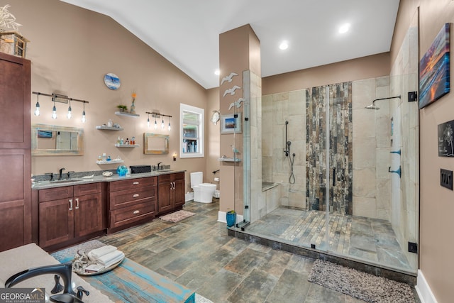 bathroom with lofted ceiling, a sink, a shower stall, and toilet