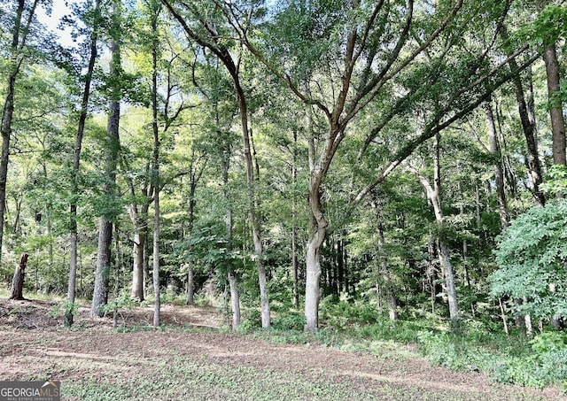 view of nature with a view of trees