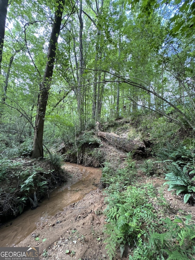 view of local wilderness with a wooded view