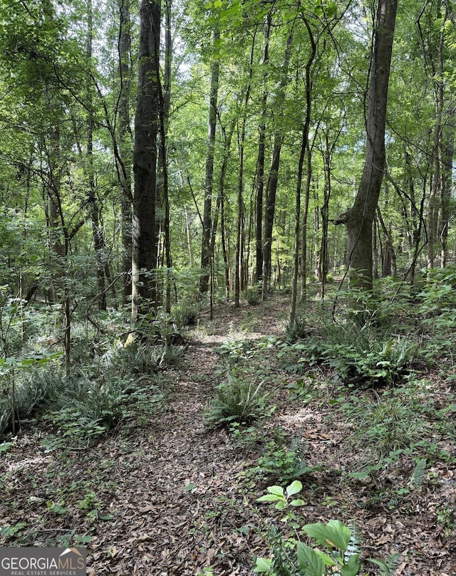 view of landscape with a forest view