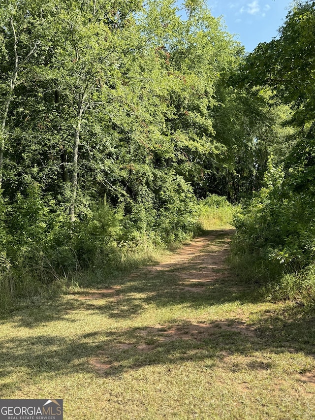 view of local wilderness with a forest view