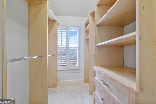 spacious closet with carpet