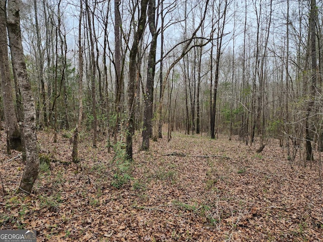 Listing photo 2 for LOT17 Smith Rd, Thomaston GA 30286