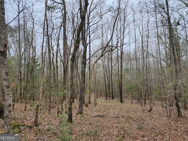 Listing photo 3 for LOT17 Smith Rd, Thomaston GA 30286