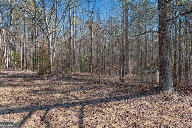 view of local wilderness featuring a wooded view