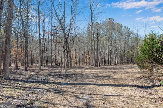 view of local wilderness with a view of trees