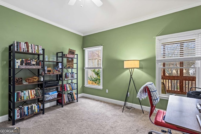 carpeted office space with crown molding, baseboards, and ceiling fan