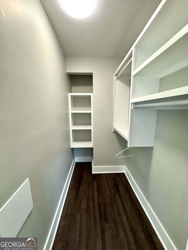 spacious closet featuring dark wood-style flooring