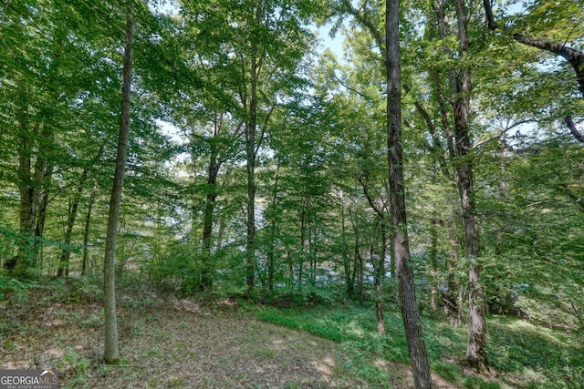 view of local wilderness featuring a forest view