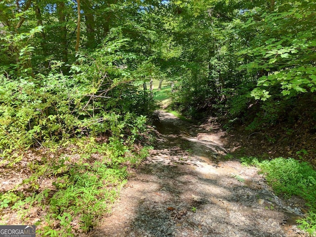 view of nature with a wooded view