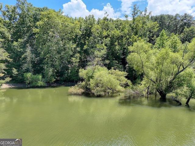 property view of water featuring a wooded view