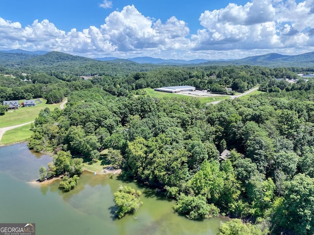 birds eye view of property featuring a wooded view and a water and mountain view