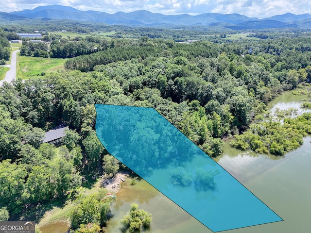 drone / aerial view featuring a water and mountain view and a view of trees