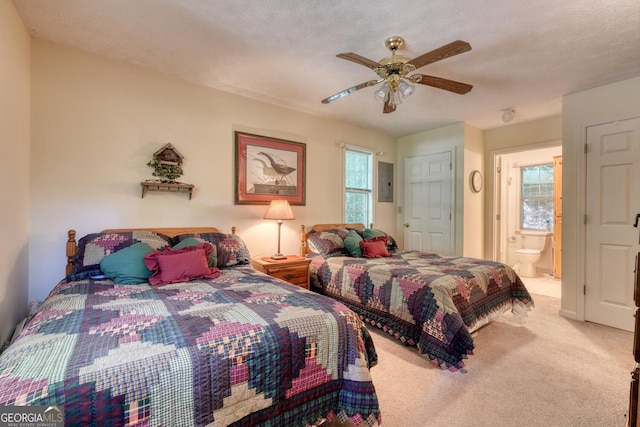 bedroom with carpet floors, electric panel, multiple windows, and a textured ceiling