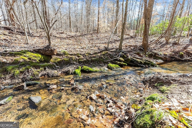 view of local wilderness with a forest view