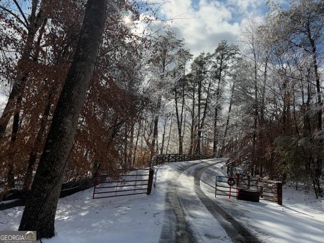 view of road featuring a gated entry