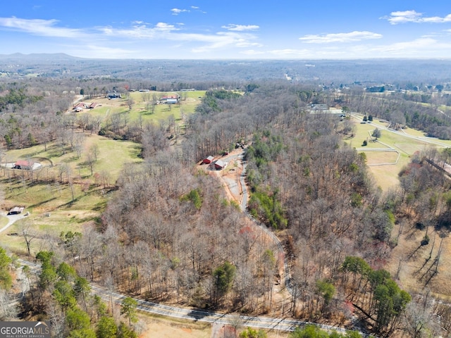 drone / aerial view featuring a rural view