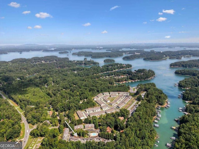 bird's eye view with a water view and a forest view