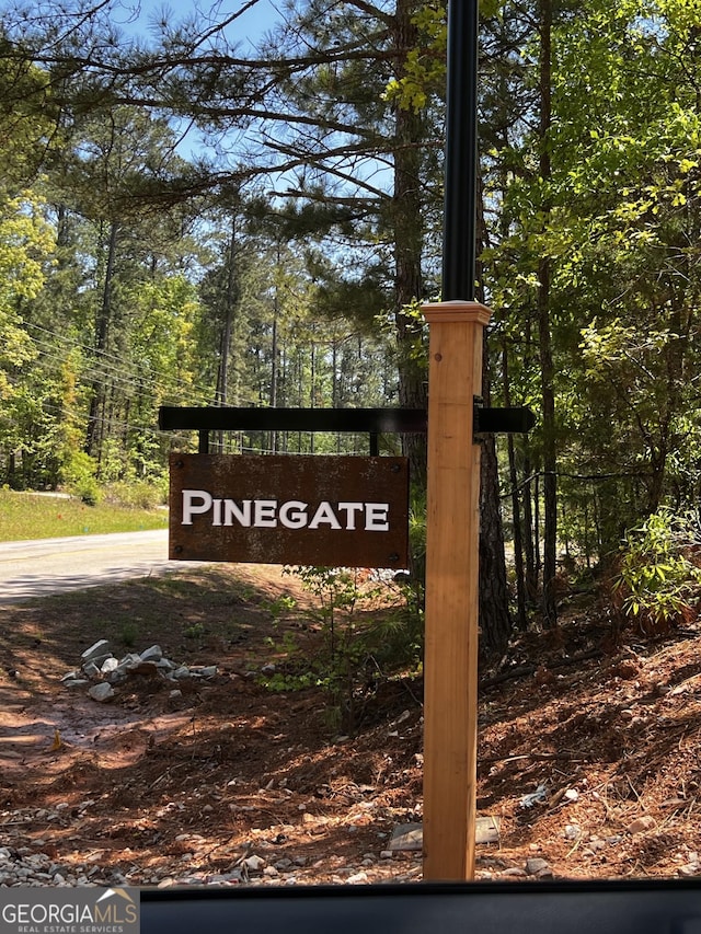 3 Bob Smith Rd, Sharpsburg, GA 30277 - detailed view