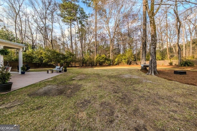 view of yard with a patio area