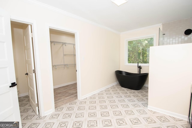 interior space with baseboards, a spacious closet, a closet, and crown molding