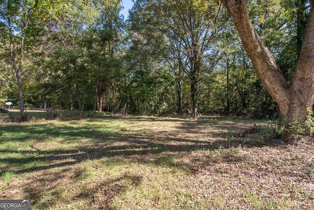 view of yard featuring a forest view