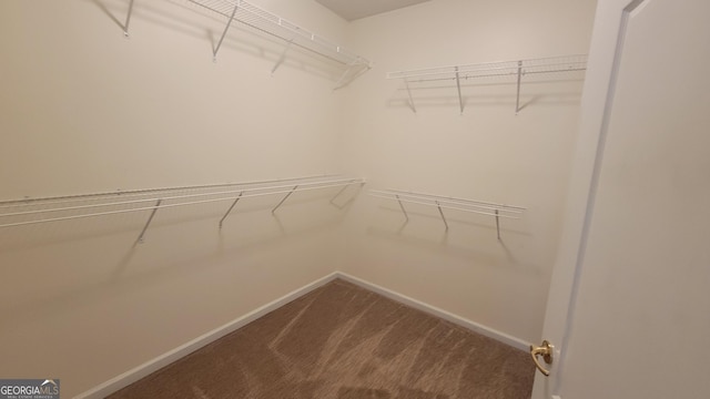 walk in closet with carpet