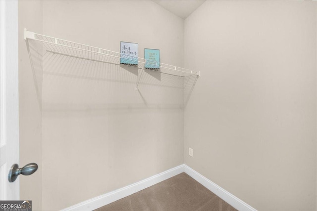 walk in closet with carpet