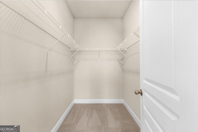 walk in closet featuring carpet floors