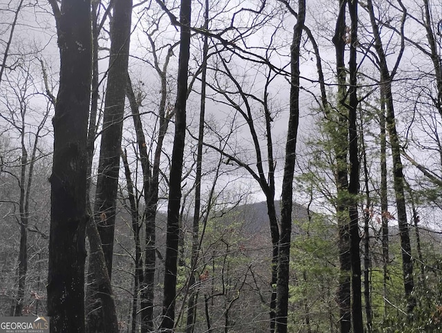 0LOT289 Cobblewood Trl, Sky Valley, GA 30537