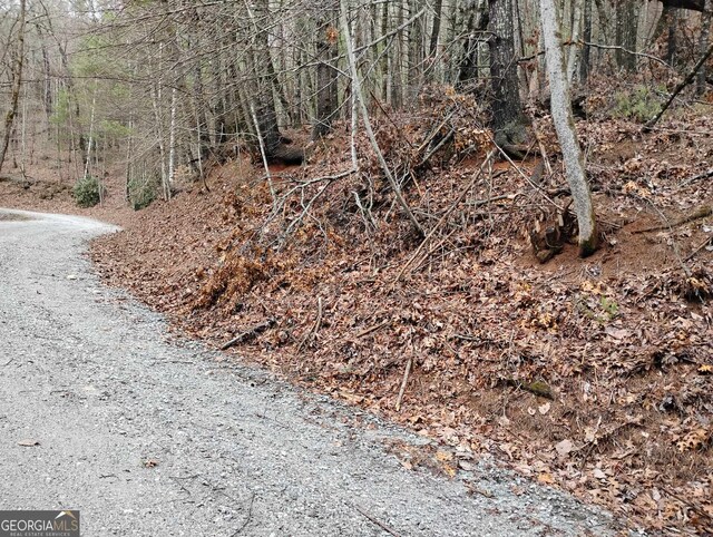 0LOT289 Cobblewood Trl, Sky Valley, GA 30537