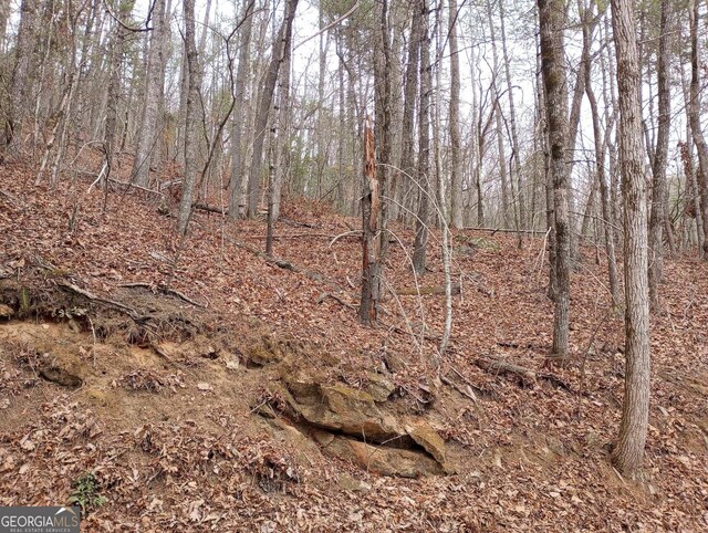 0LOT289 Cobblewood Trl, Sky Valley, GA 30537
