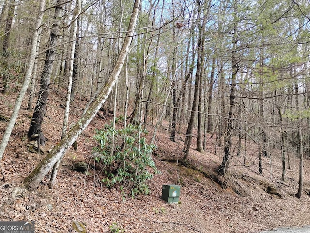 0LOT289 Cobblewood Trl, Sky Valley, GA 30537