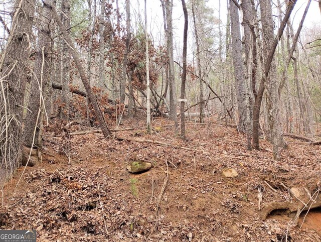 0LOT289 Cobblewood Trl, Sky Valley, GA 30537