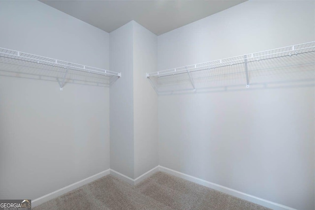 spacious closet featuring carpet flooring